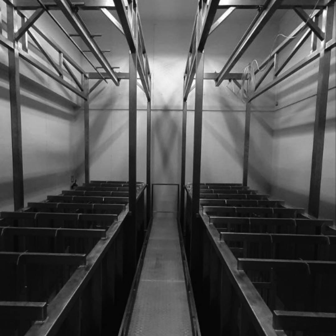 Ванная соления сыра с плесенью